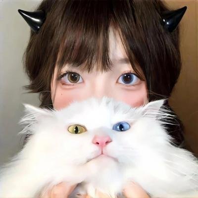 智勇双探 封面