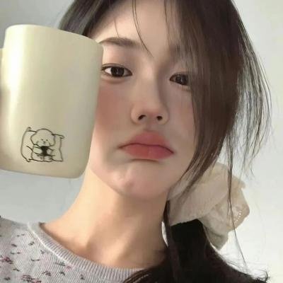 良陈美锦 封面