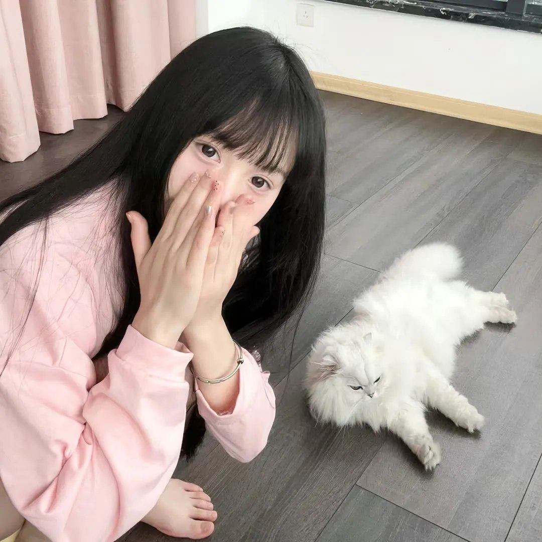初生之犊 封面